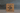 gray soap bar with a design on a gray background