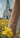 Person wearing a gold bracelet with a cross on a blurred background of a church and yellow flowers.
