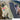Custom Painted Cat Portraits