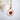 Gold necklace with a circular Pressed Botanical Pendants featuring a red flower on a white background