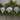 Decorative silver Christmas ornaments on a green branch against a wooden background