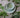Ceramic bowl with green interior on a wooden surface with leaves