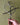 Hand holding a cross with heart against a green background
