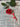 Red rhandcrafted porcelain rose on a textured surface