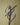 Decorative metal cross with heart-shaped design on a green background