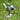 Brew Bird Silverware Kinetic Recycled Garden Art - Eclectic Treasures