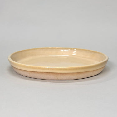 Beige ceramic plate on a light gray background