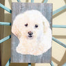 Custom Pet Portraits 