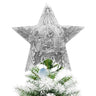 Decorative star ornament with nativity scene on a Christmas tree.