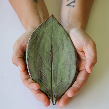 Person holding a leaf-shaped ceramic pot with a greenish-brown color.