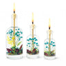 Decorative bottles with candles labeled 'Pisces' on a white background