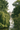 River with trees on either side and a building in the background