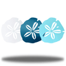 Three sand dollar-shaped molds in white, blue, and light blue on a white background