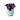 Vase with purple top and light blue body on a white background